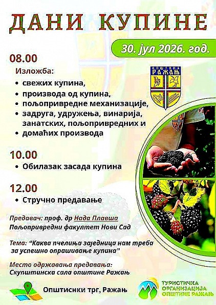 Дани купине у Ражњу